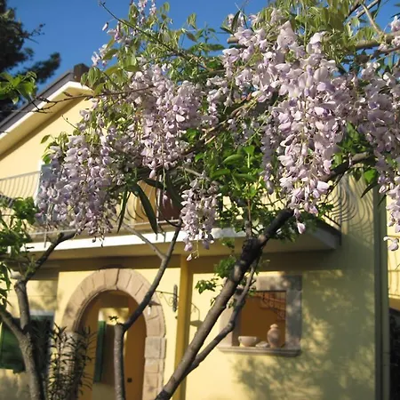 Apartment Antico Portale Ascea